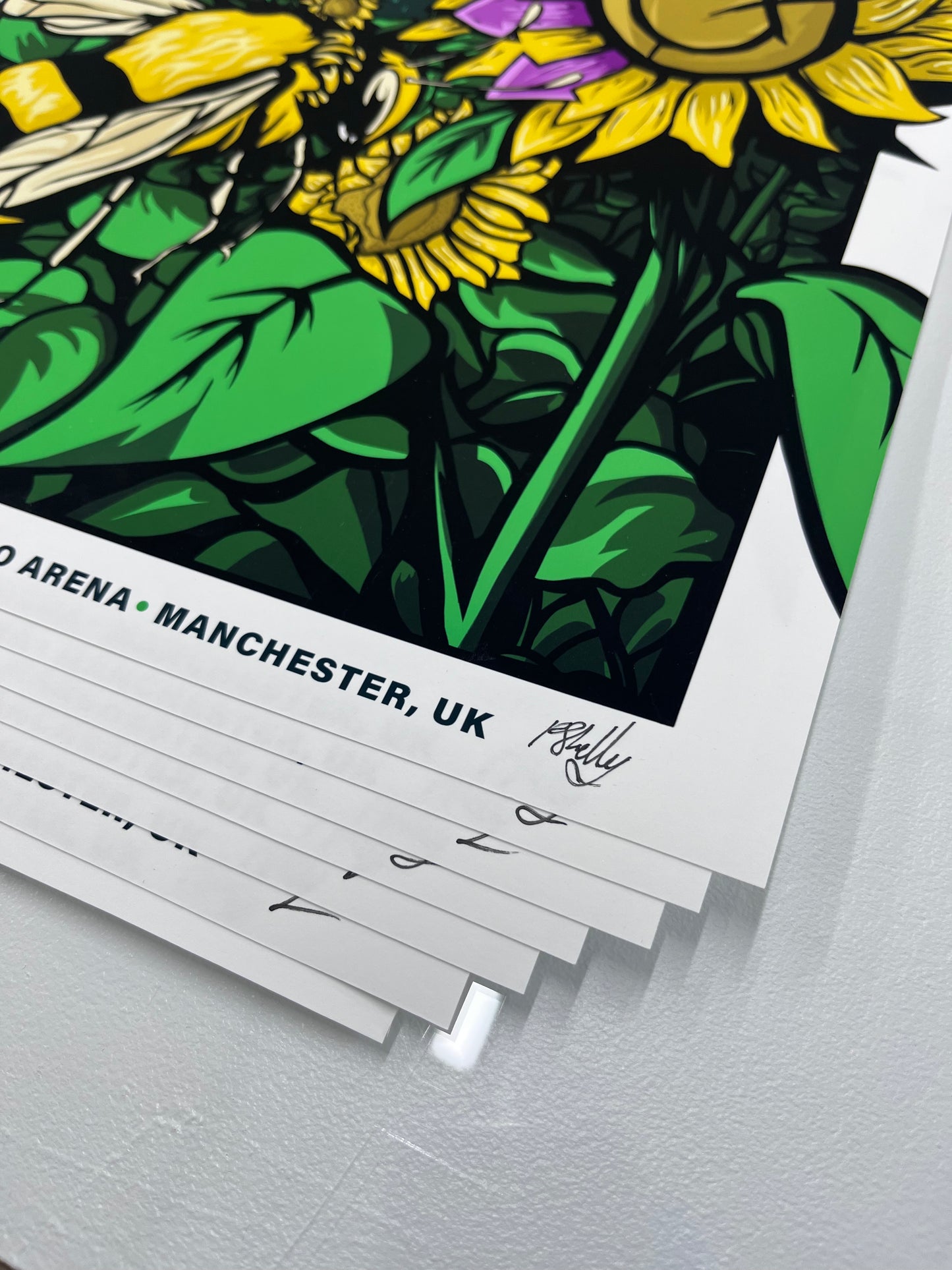 Exclusive Blink 182 2023 Tour Poster - Manchester A0 Arena - Unofficial - Mark, Tom and Travis Show