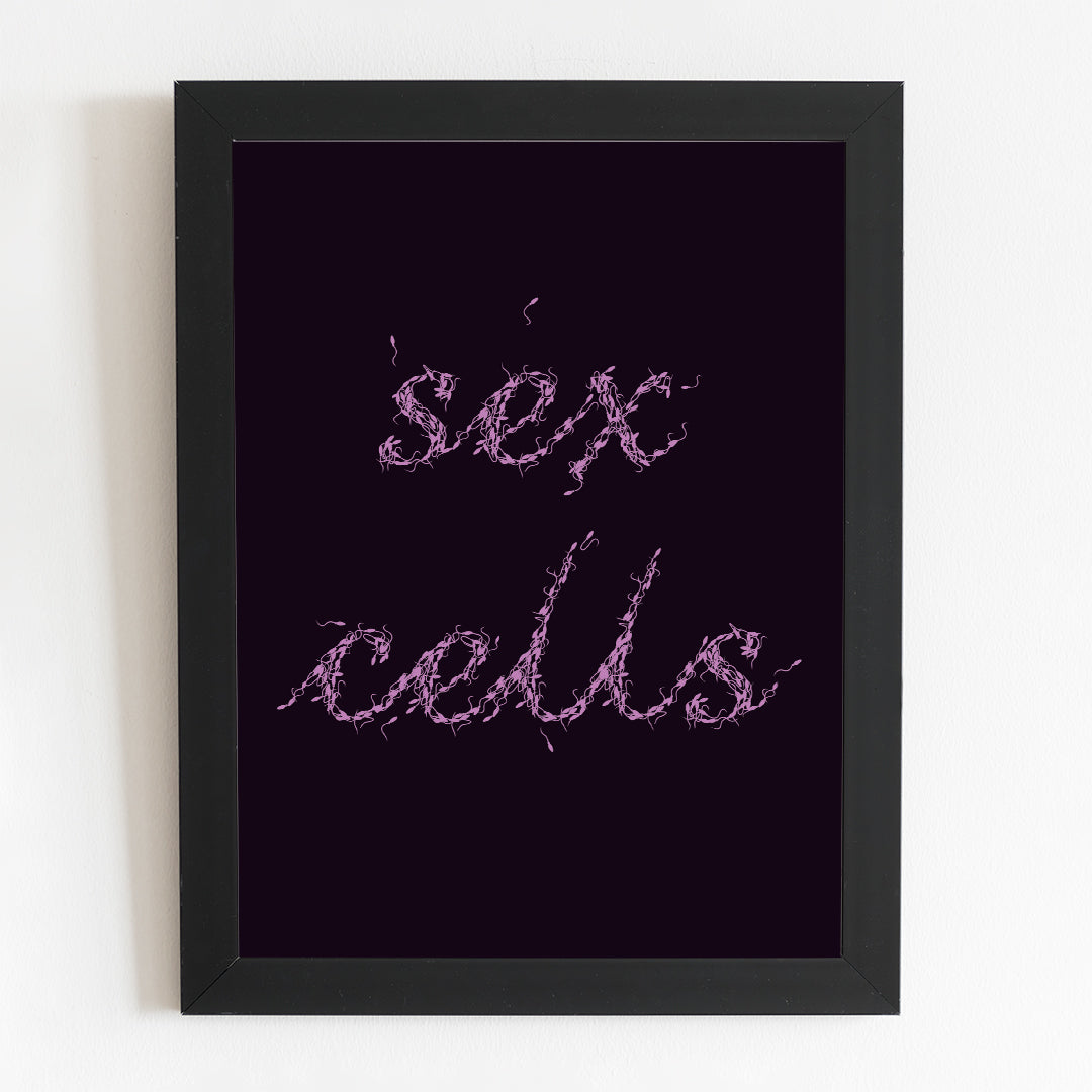 Sex Cells Funny Typography Illustrated Poster