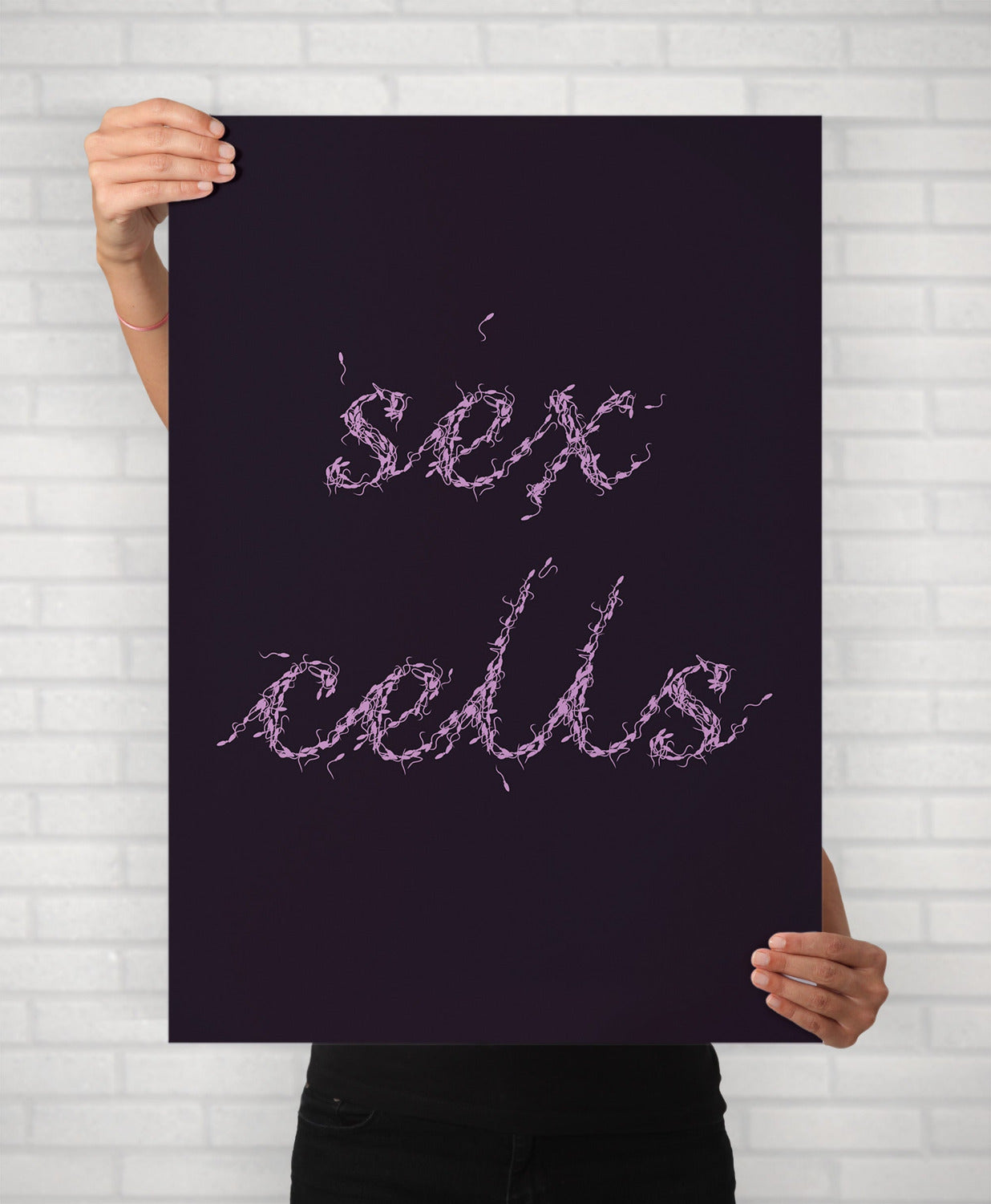 Sex Cells Funny Typography Illustrated Poster